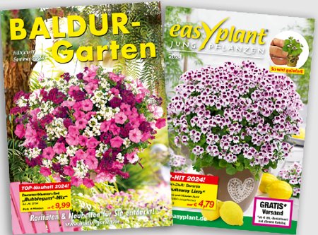BALDUR-Garten Katalog bestellen - kostenlos von BALDUR-Garten GmbH